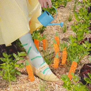 Chaussettes Asperge