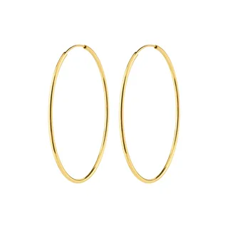 EVA MELOCHE X PILGRIM earrings gold-plated